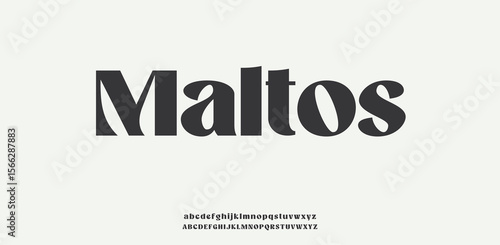 Maltos Luxury wedding alphabet font. Typography decorative elegant classic lettering serif fonts vintage retro for logo.