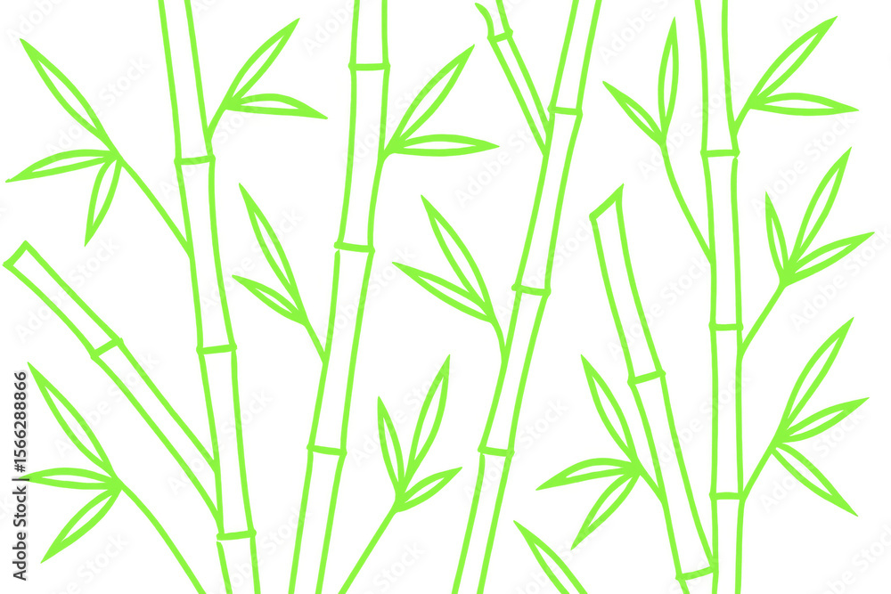 Fototapeta premium Light green bamboo stalks and leaves are creating a beautiful and natural background on a transparent background
