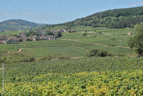 Chassagne-Montrachet, village