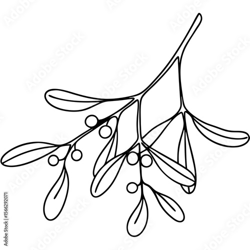 Mistletoe branch with berries and leaves. Simple line art mistletoe sprig perfect for seasonal designs. Elegant mistletoe illustration ideal for holiday cards, invitations, and branding.