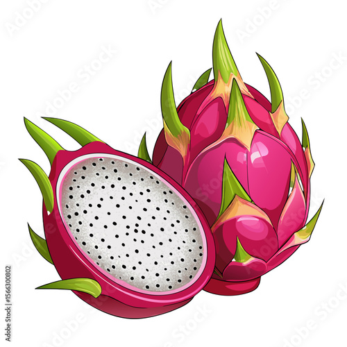 Realistic Dragon Fruit PNG Vector – Exotic Tropical Pitaya Fruit Illustration