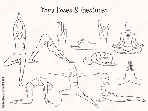 Hand-drawn vector set of yoga poses and hand gestures. Includes classic asanas such as lotus, tree, warrior, downward dog, and meditation poses, as well as symbolic mudras