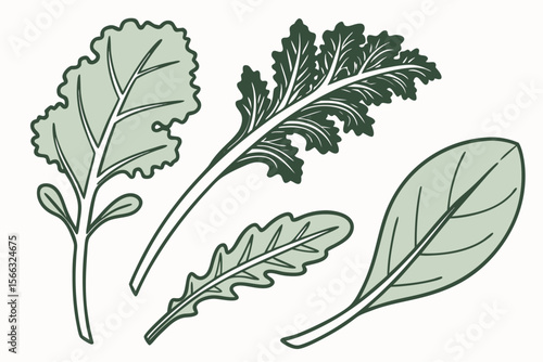 Minimalist line art of leafy greens with kale and spinach elements
