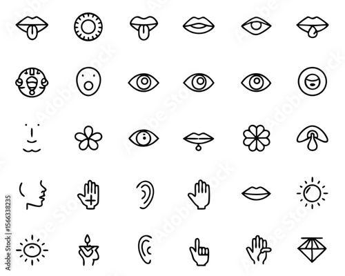 Comprehensive collection of symbols representing the five human senses taste sight touch smell and hearing presented in a clean modern graphical style