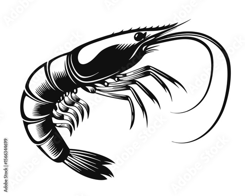 Artistic rendering of a large detailed crustacean with a handcrafted feel presented against a clean uncluttered pale backdrop for versatile use