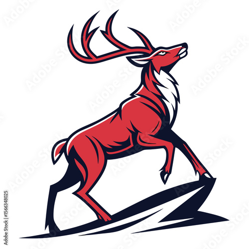Powerful red deer on a rock