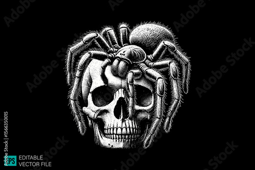 skull spider tattoo designs dark art scary creepy style tattoo illustration vector black and white background templates