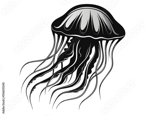 Vibrant marine creature with flowing tentacles detailed aquatic lifeform presented on a clean unobstructed backdrop for creative projects