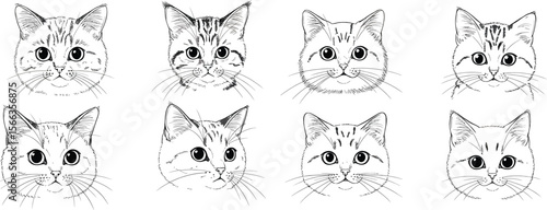Adorable Collection of Eight Hand-Drawn Cat Portraits