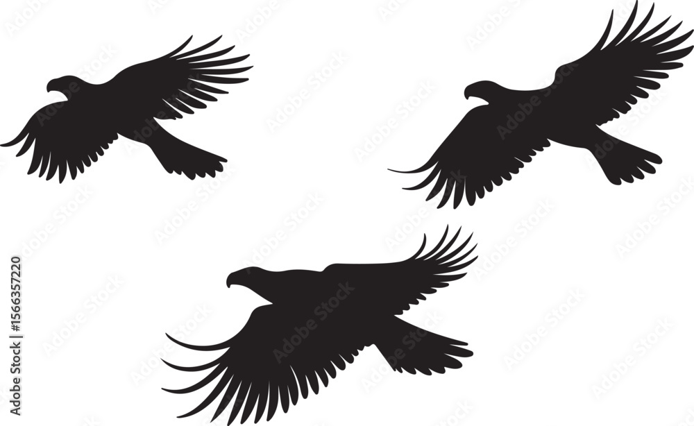 Obraz premium Soaring Hawks in Flight