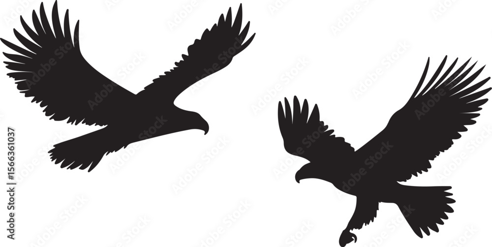 Obraz premium Soaring Hawks in Flight