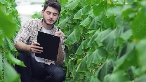 Thoughtful young agronomist inspecting lush green rows with clipboard