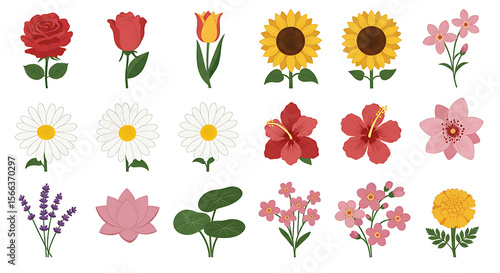 Wallpaper Mural Diverse Floral Collection Roses Sunflowers Daisies and More on White Background. Torontodigital.ca