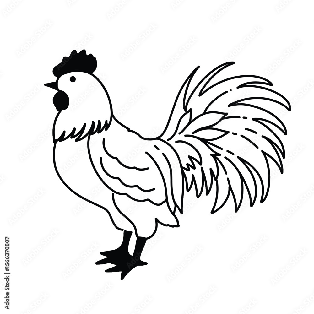 Obraz premium rooster vector illustration