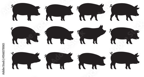 Elegant Pig Silhouette Collection A Variety of Pig Breeds Depicted in Stunning Black Silhouettes Against a White Backdrop