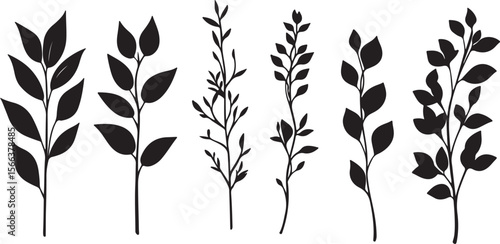 lack Leaves and Stems Vector