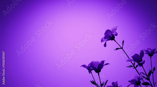 Delicate purple flowers on a soft, vibrant purple background, creating a serene atmosphere.