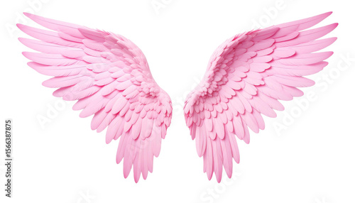 Pink Angel Wings Isolated on White and Transparent Background
