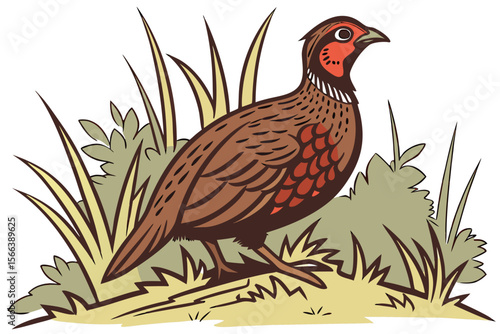 Nature & Wildlife Illustrations: Rooster, Meerkat, Capybara, Civet, Kingfisher, Kite, African Wild Dog, Duckling, Raccoon, Magpie & Robin, Pheasant, Hawk, Lynx, Woodpecker, Panther, Dolphin, Lemur, Pl