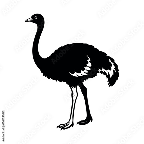 Common Ostrich Bird Silhouette