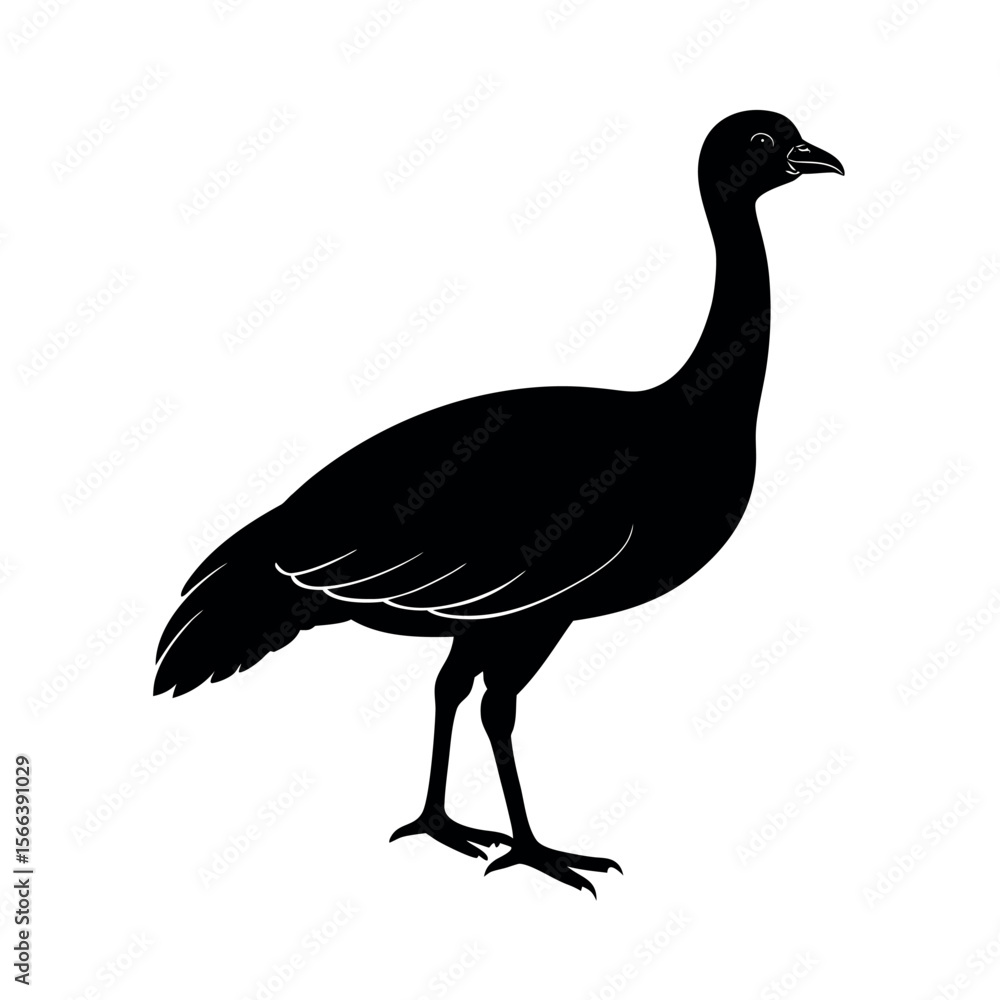 Fototapeta premium Dusky Legged Guan Bird Graphic