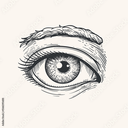 Hand drawn sketch style human eye. Sight, anatomy, makeup, beauty salon symbol. Vintage vector illustration isolate on light background.