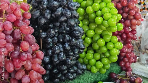 Wallpaper Mural Collection of different green, red, black grapes. Torontodigital.ca