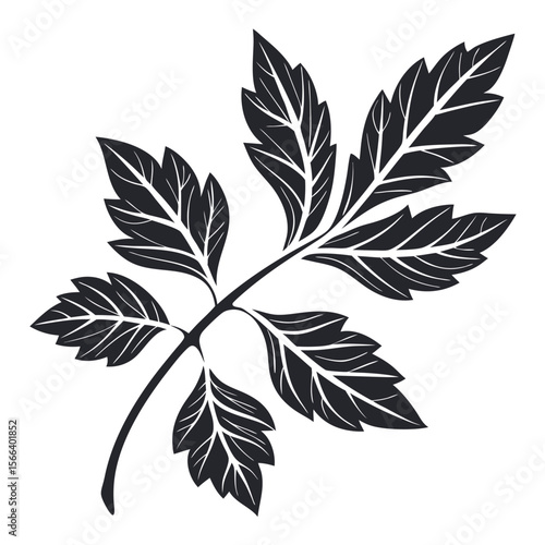 Detailed black silhouette sprig with multiple leaves illustration