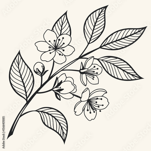 Wallpaper Mural Detailed outline cherry blossom branch Torontodigital.ca