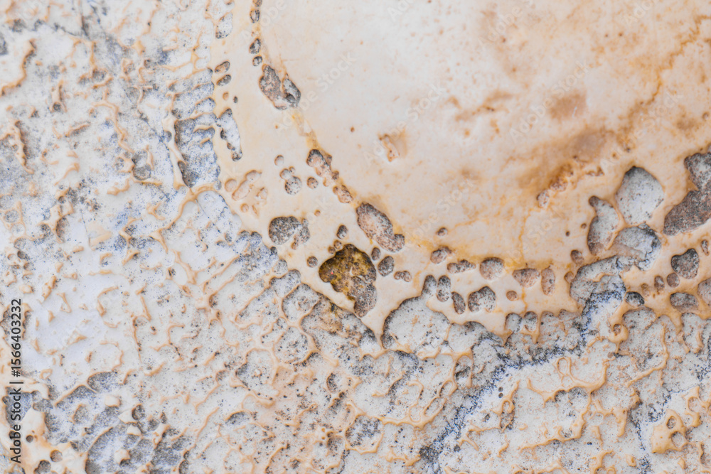 Abstract textures reveal nature’s artistry in subtle colors and patterns Abstract textures reveal nature’s artistry in subtle colors and patterns