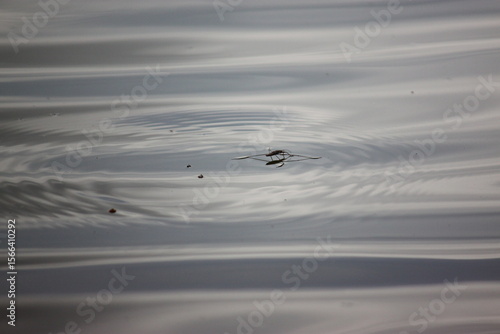 Water waves spread out from a center, similar to water drops falling on the surface.