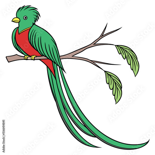 Green quetzal bird with red chest on branch yellow
