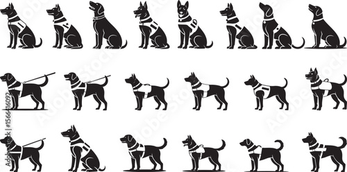 Dogs wearing service vests service dogs working dogs