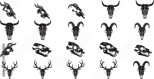 Animal skulls horns and teeth black