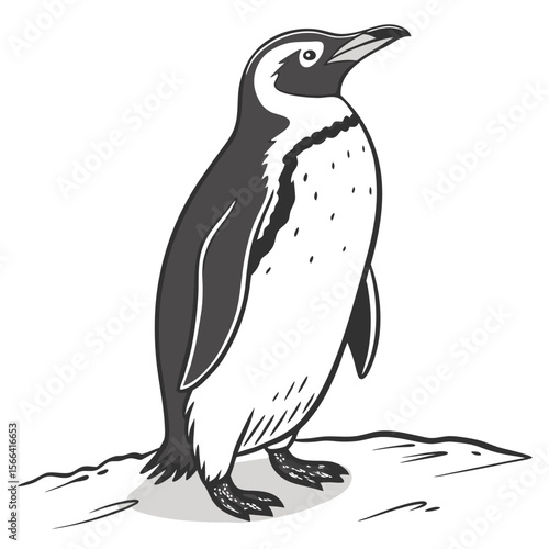Penguin standing on a textured surface animal bird