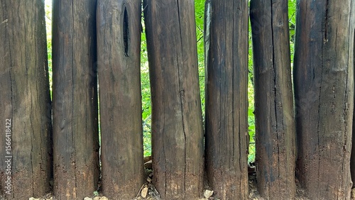 A pattern of wooden rough logs stockade without a bark. Forest at the background.