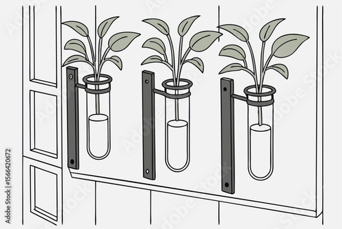 Three wall mounted test tube plant holders with green leaves