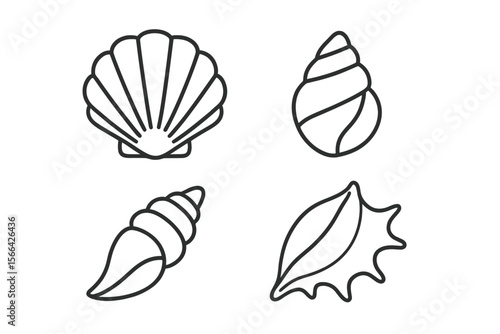 Various sea shells displayed on a light background showcasing nature's diversity and beauty in marine life