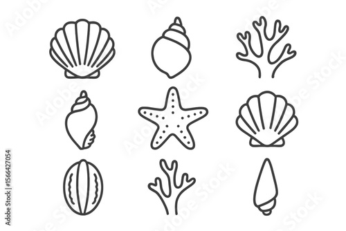 Various marine life illustrations showcasing shells and corals in a simple black and white design