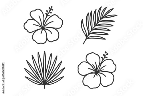 Floral illustrations featuring hibiscus flowers and palm leaves suitable for tropical design projects