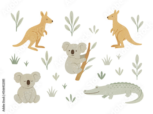 Australian animals png watercolor illustration