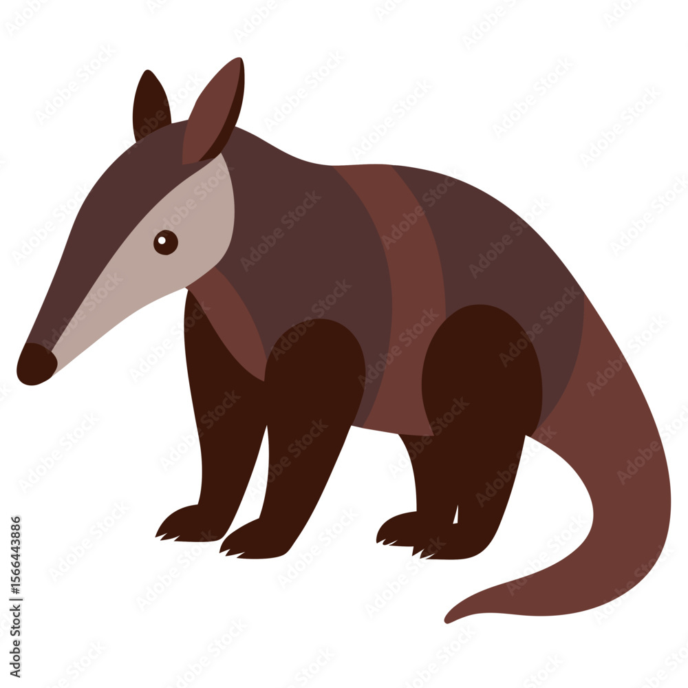 Fototapeta premium Anteater on white background
