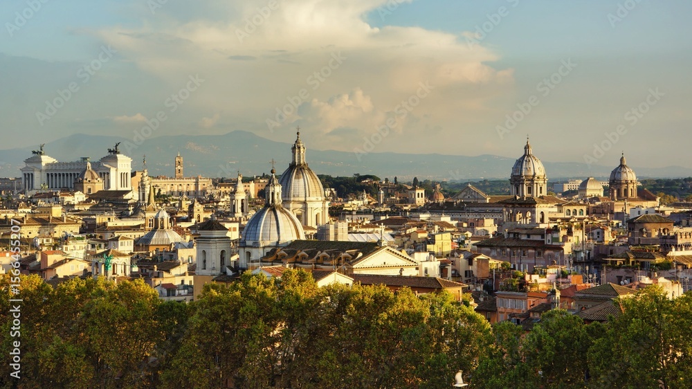 Fototapeta premium view of rome
