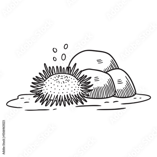 A spiky urchin resting near a rock on the ocean bottom