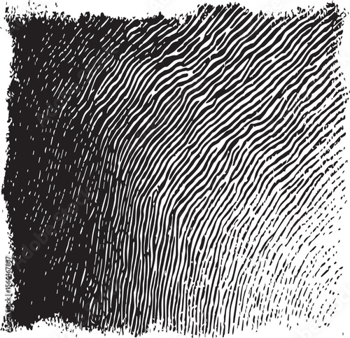 A black and white abstract pattern with torn edges resembling zebra stripes on a textured background