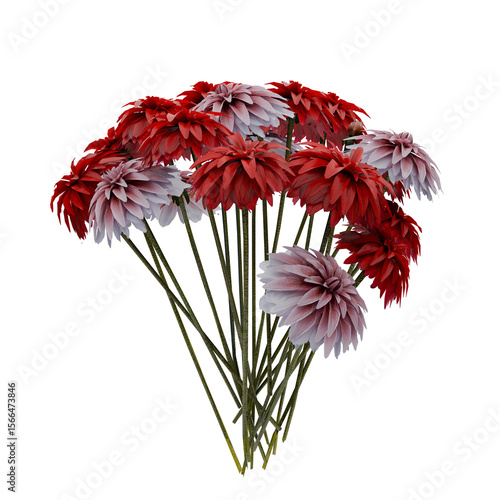 bouquet of red chrysanthemum,bouquet of flowers,isolated on transparent background