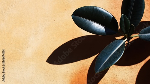 Elegant Green Leaves Against Warm Textured Background with Shadow