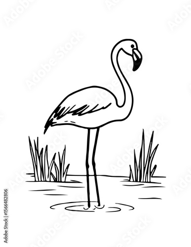 Flamingo discovers an ancient prophecy that could reshape her destiny forever. cartoon