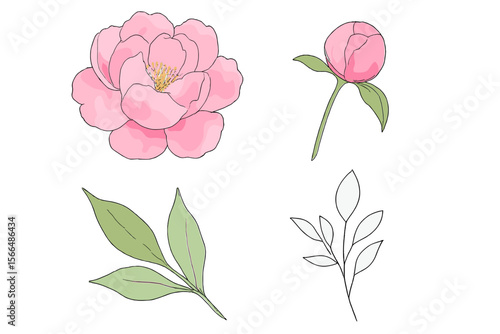 Floral illustrations featuring pink peonies and green leaves in a simple artistic design
