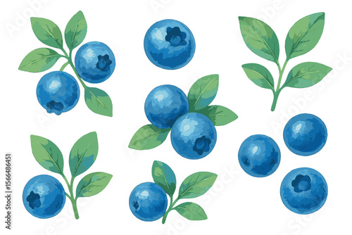 Blueberries arranged with leaves in a vibrant watercolor style showcasing fresh fruit and greenery
